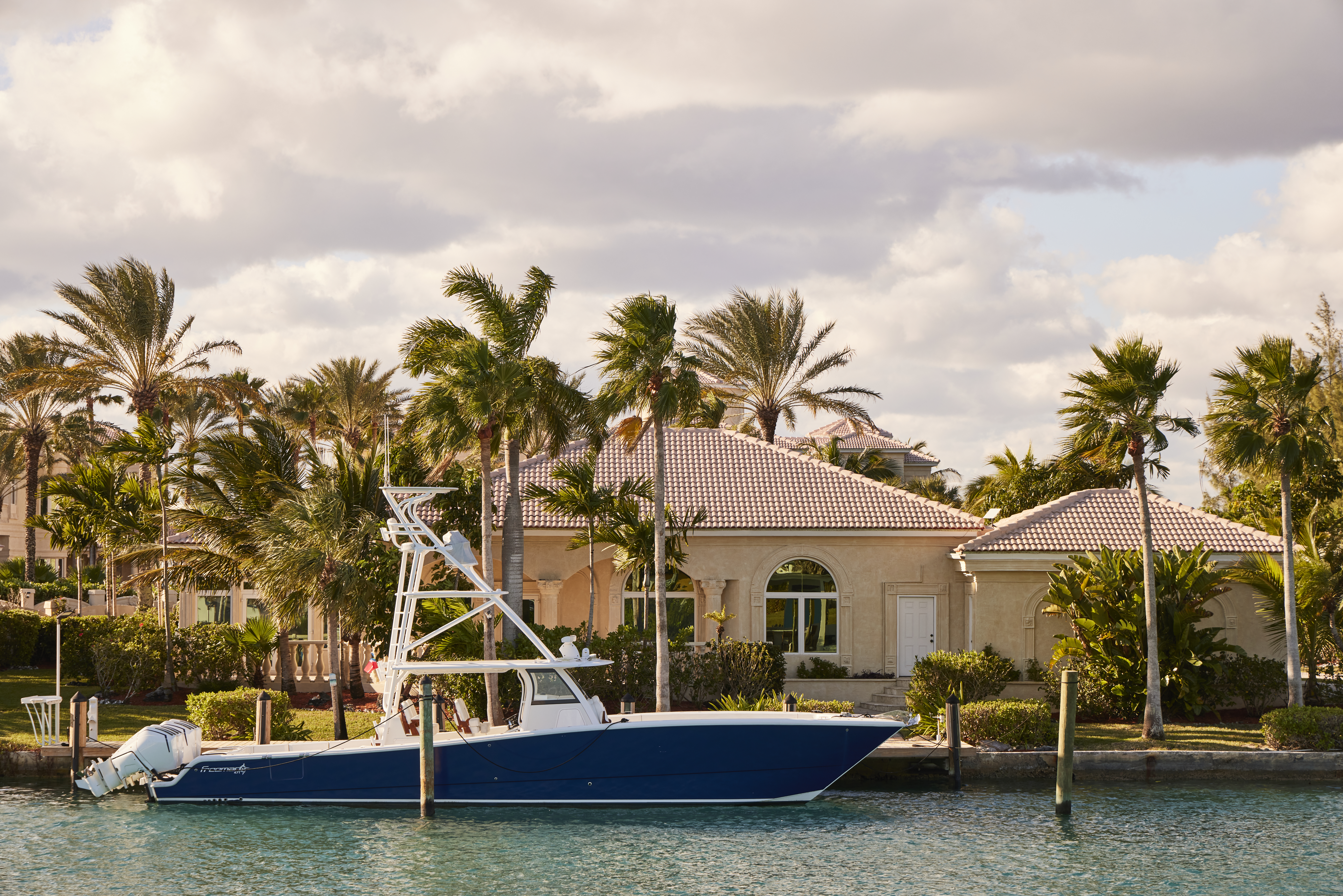 Exterior Palm Driveway